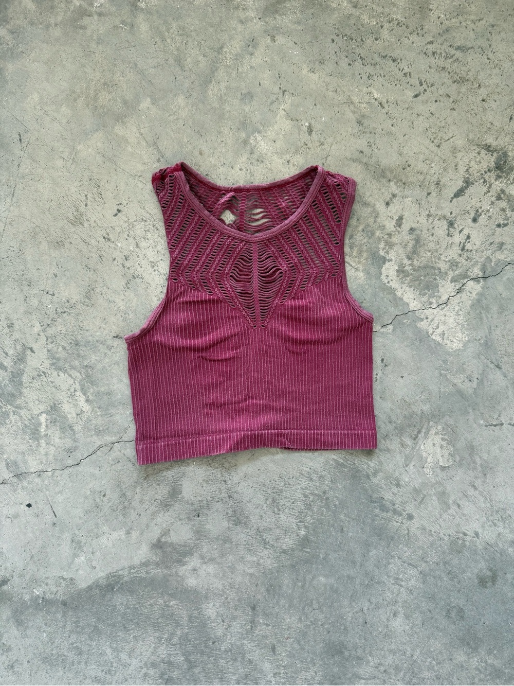 Sleeveless Ribbed Crochet Yoke Crop Top in Plum